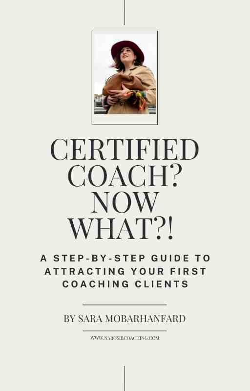 Busy Professional Turned Coach? Here’s the Lean, No-Overwhelm System to Attract Coaching Clients Without Hustling.